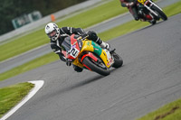 Middle Group Yellow Bikes